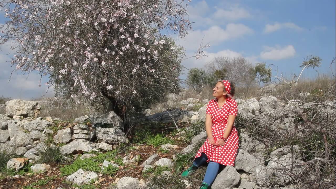 מסיירים עם שרית – עץ השקד